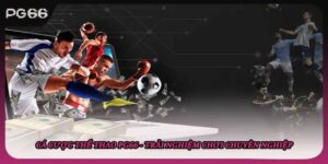 Cá Cược Thể Thao PG66 - Trải Nghiệm Chơi Chuyên Nghiệp 