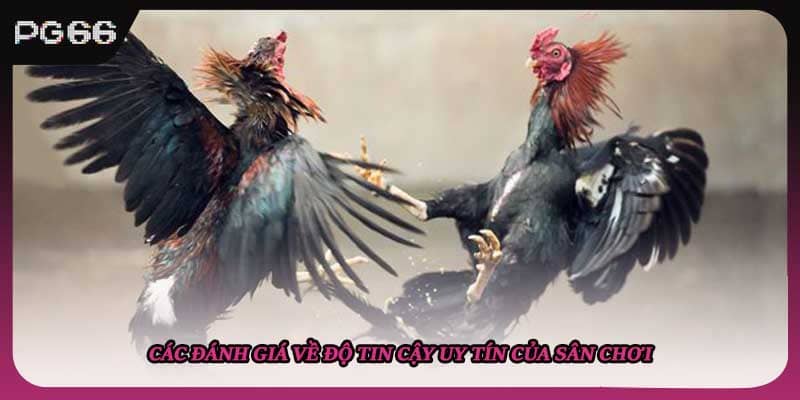 Các đánh giá về độ tin cậy uy tín của sân chơi
